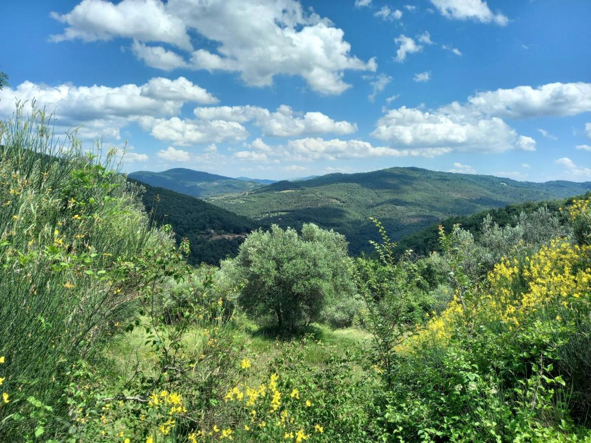 Valle Dame Кортона Экстерьер фото