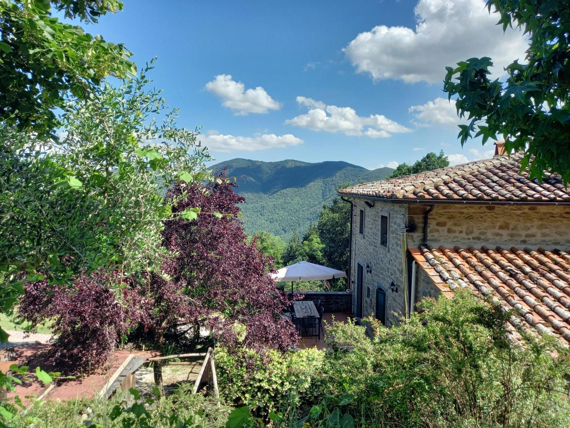 Valle Dame Кортона Экстерьер фото