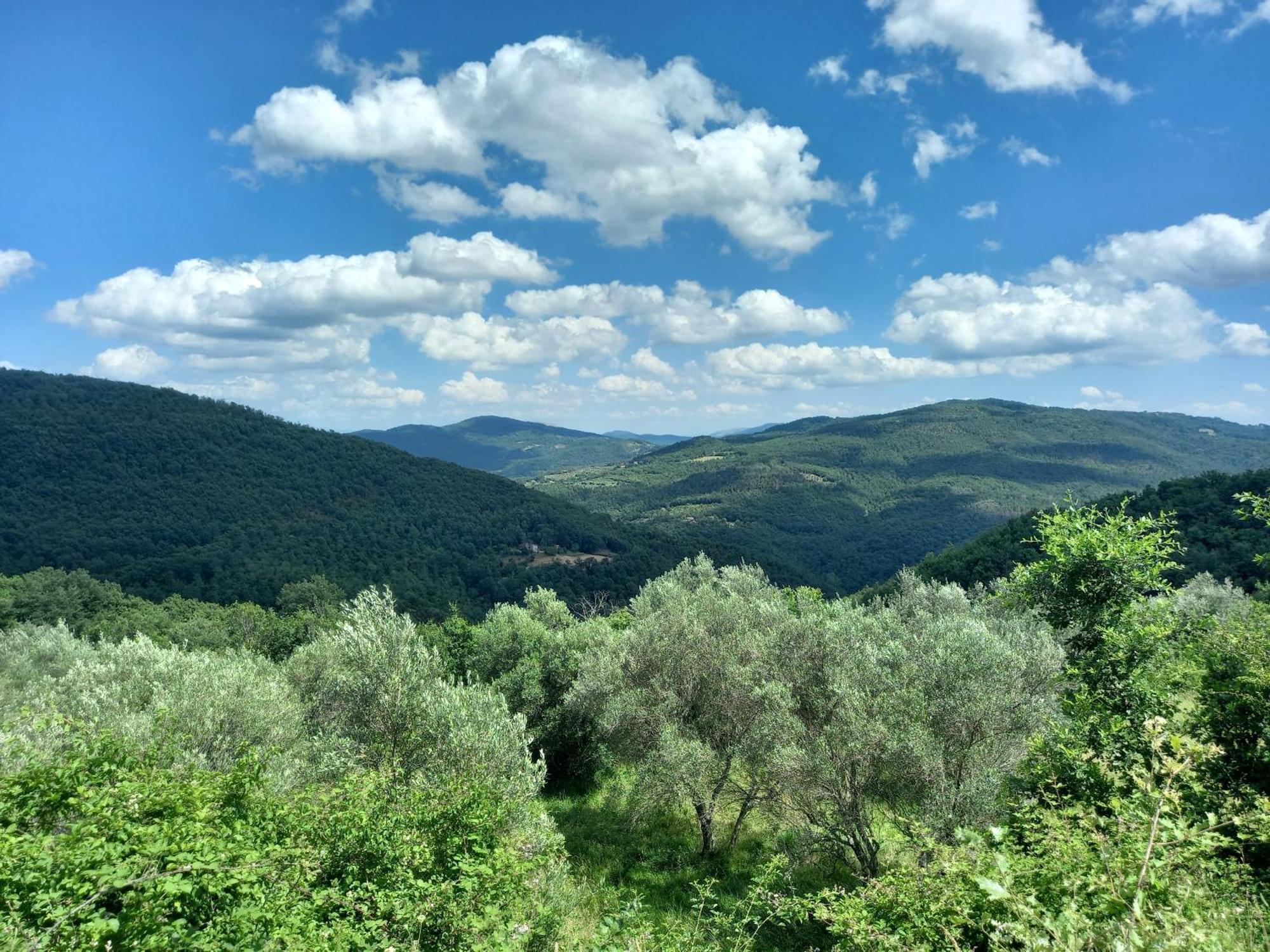 Valle Dame Кортона Экстерьер фото