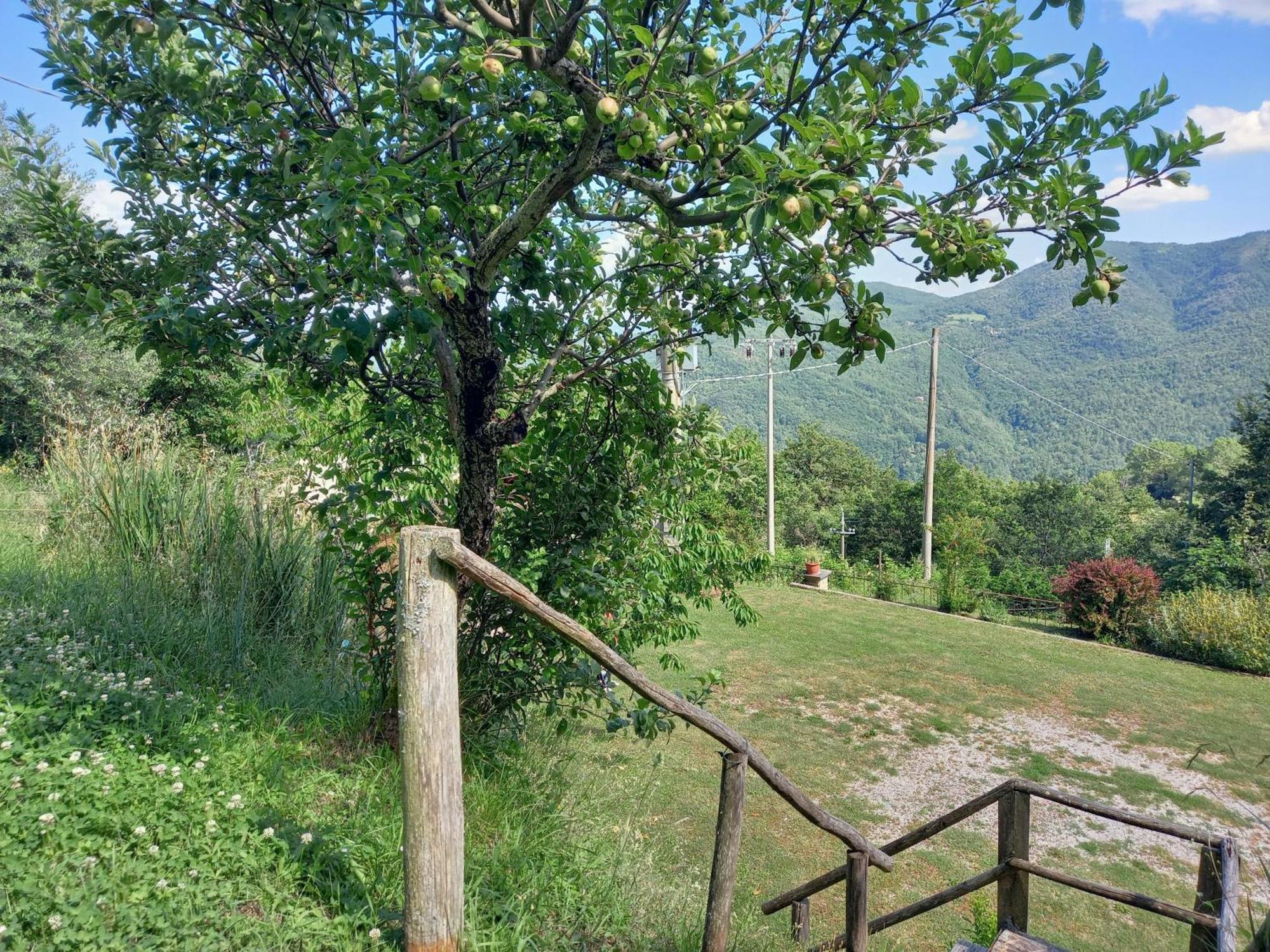 Valle Dame Кортона Экстерьер фото